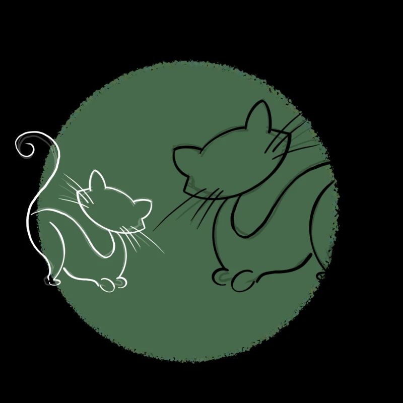 Katzen