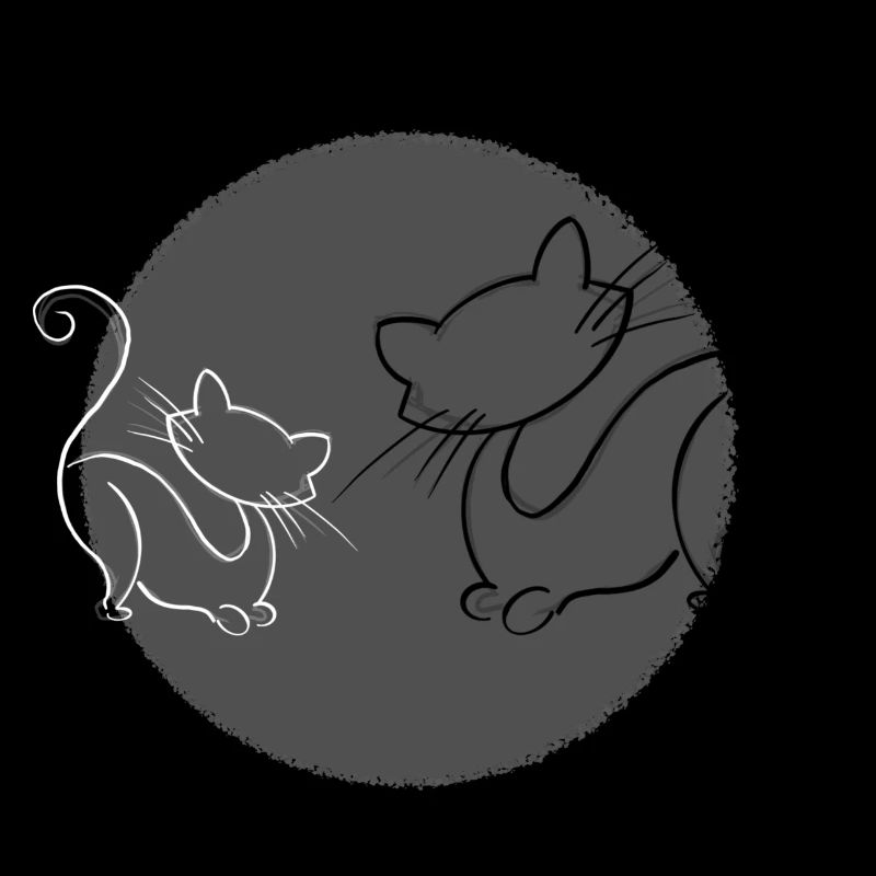 Chats Gris