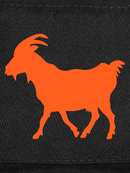 Ziege orange GOAT