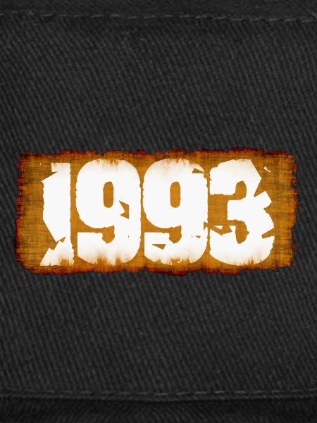 Année 1993