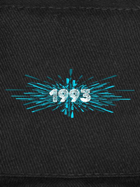 Year of construction 1993