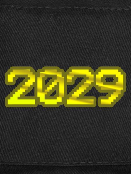 Computer 2029