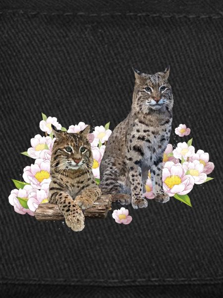 Lynx