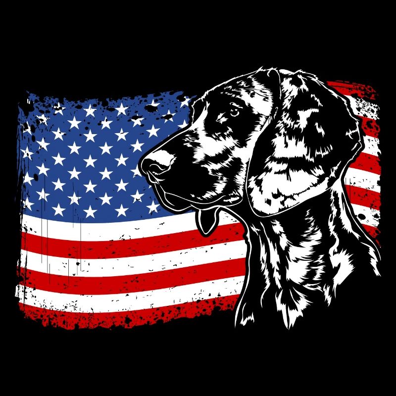 Chien de chasse à l’odeur hanovrienne Chiens de drapeau de l’Amérique