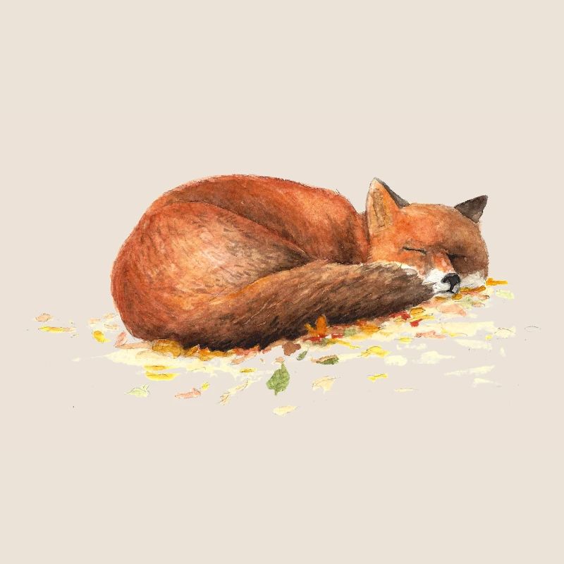 Fuchs