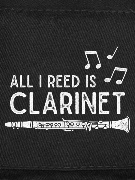 Clarinet Musical Instrument Clarinetist