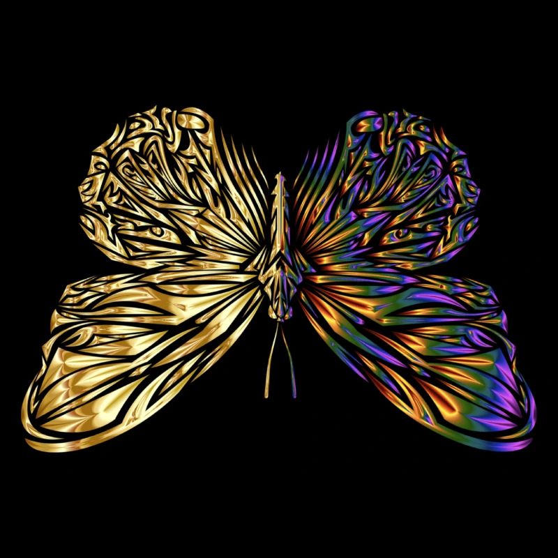 Papillon