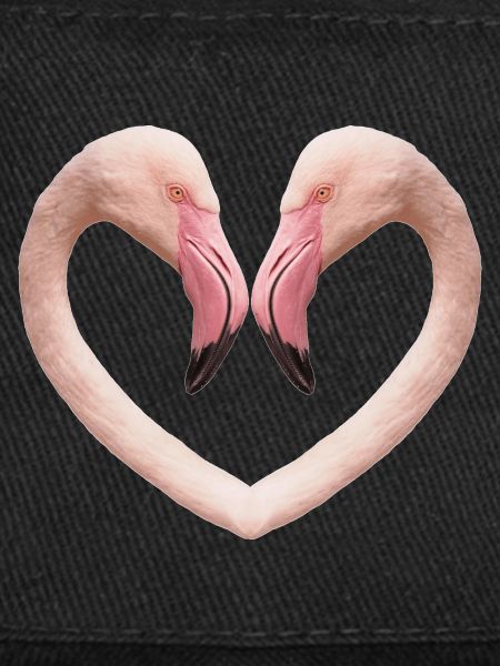 Flamingo Heart
