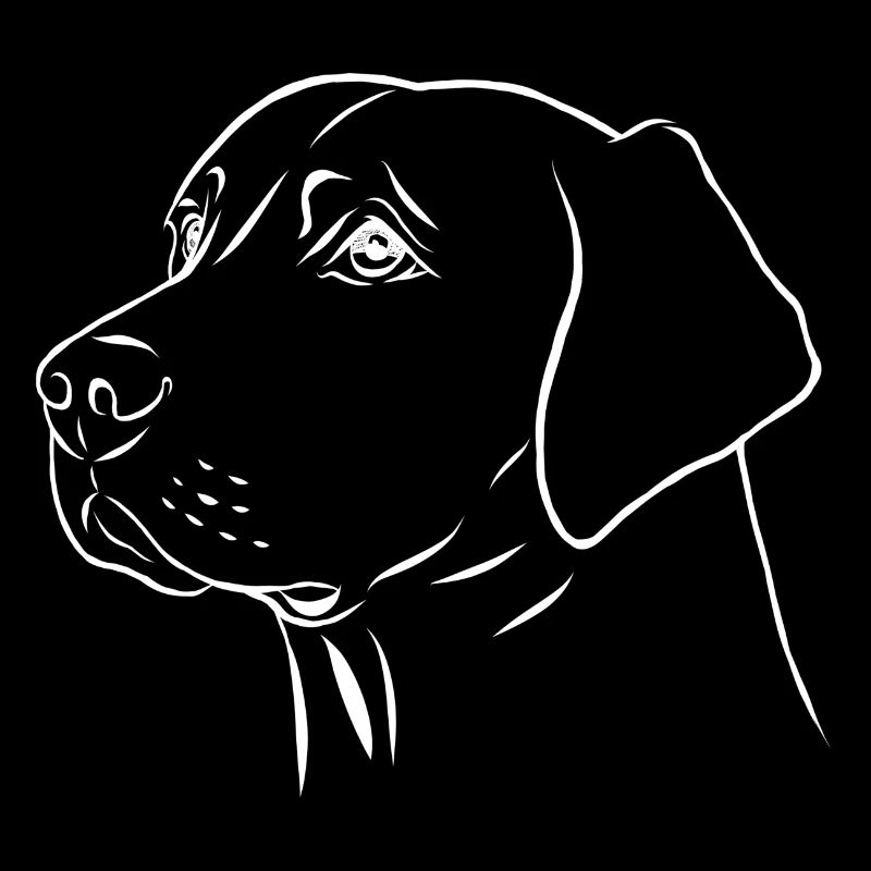 Portrait de labrador retriever