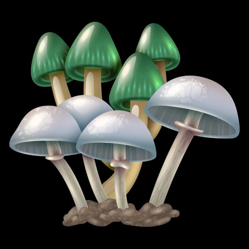 champignons purée de champignons