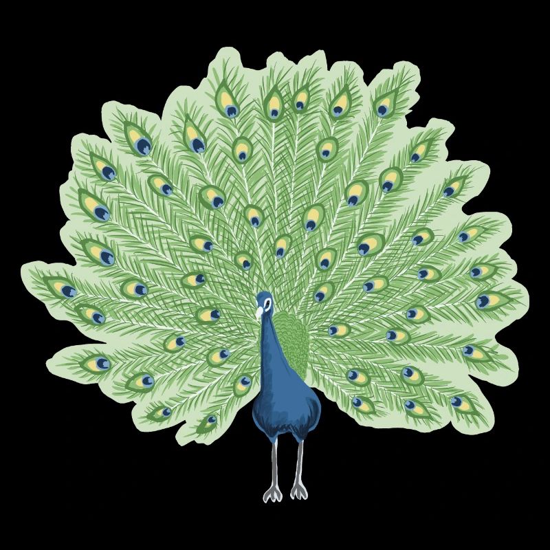 Paon en bleu et vert