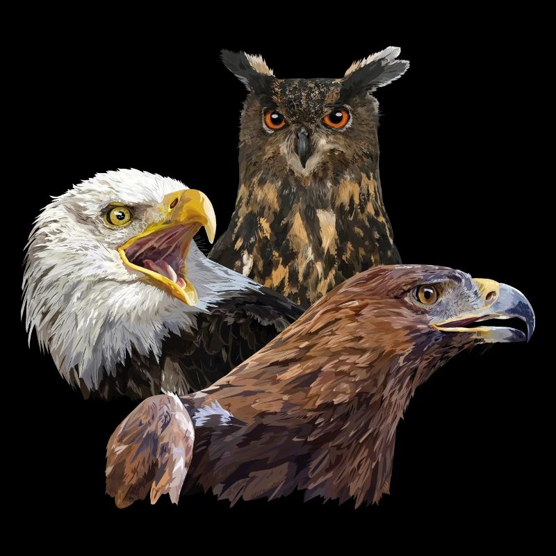 Eule und Adler