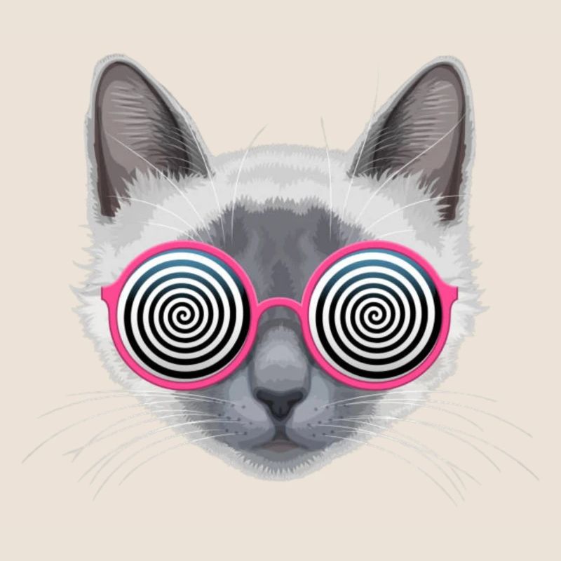Hypnotic Cat