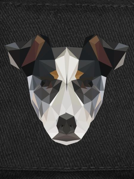 Russell Terrier