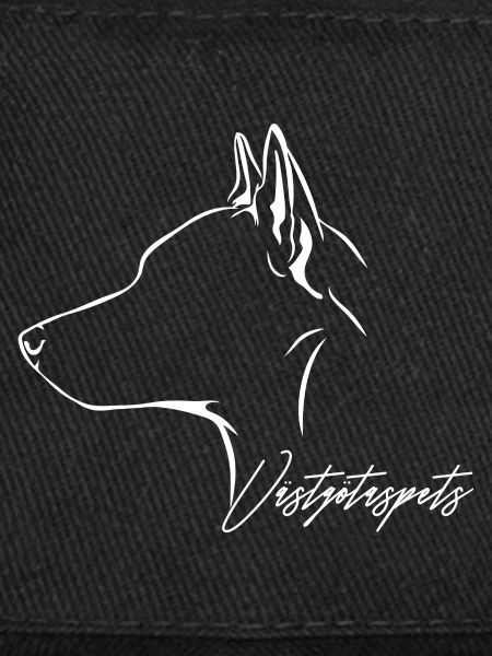 VÄSTGÖTASPETS Profil Chiens Wilsigns