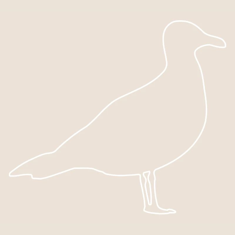 Möwe, Vögel, Taube,