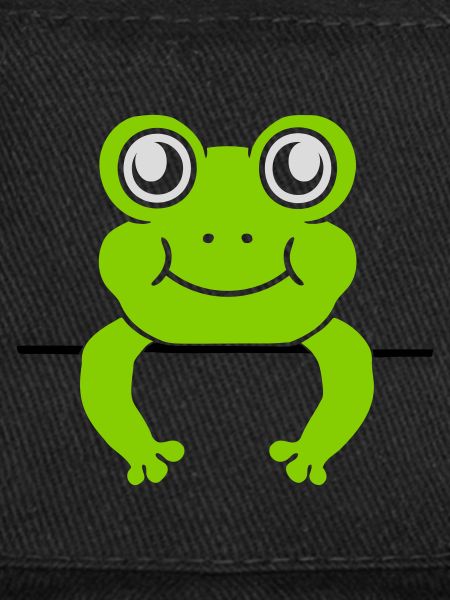 Frog Wall Shield Comic