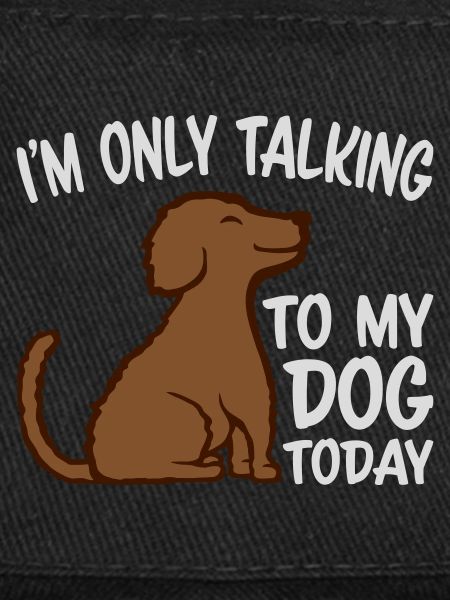 only talking to dog