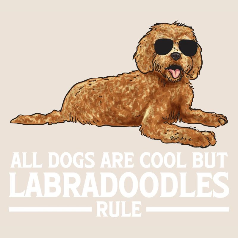 Labradoodle Chien