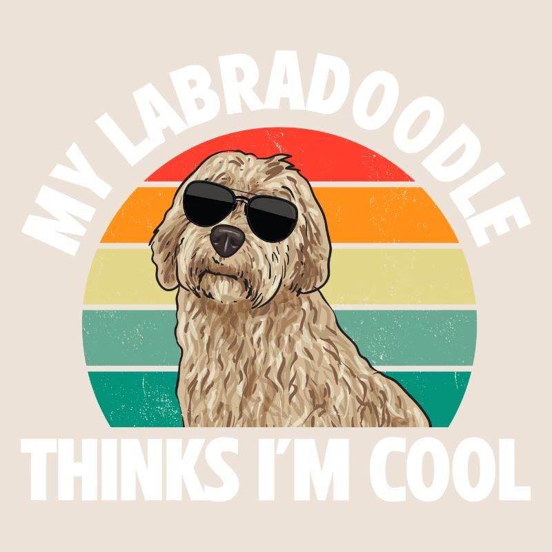 Labradoodle Hund