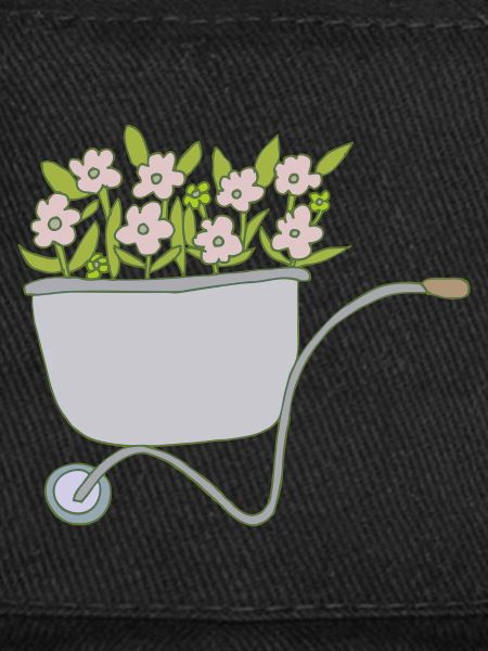 Brouettes Fleurs