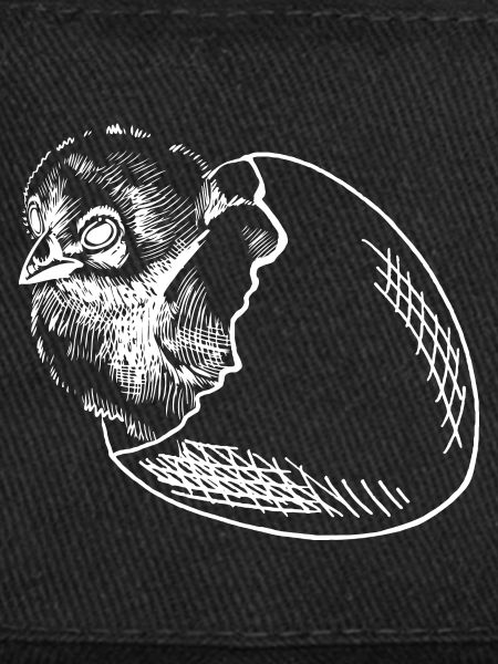 Chicks hatch egg