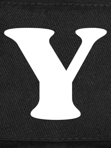 Lettre y