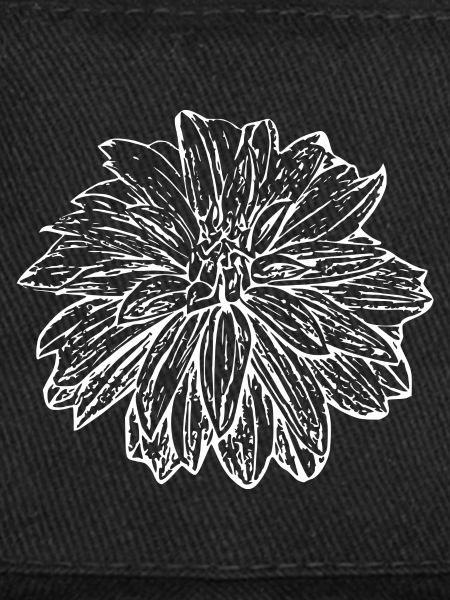 Fleur, Blanc, Fleur Blanche