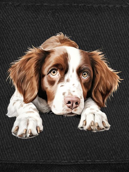 Brittany Dog