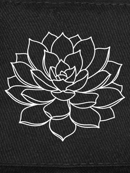 Monochrome Succulent Line Art