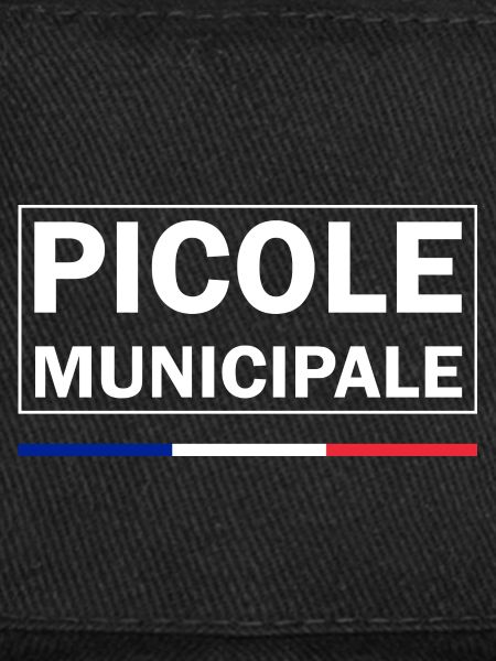 Picole Municipale