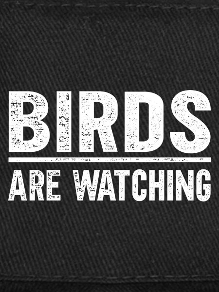 Les oiseaux observent