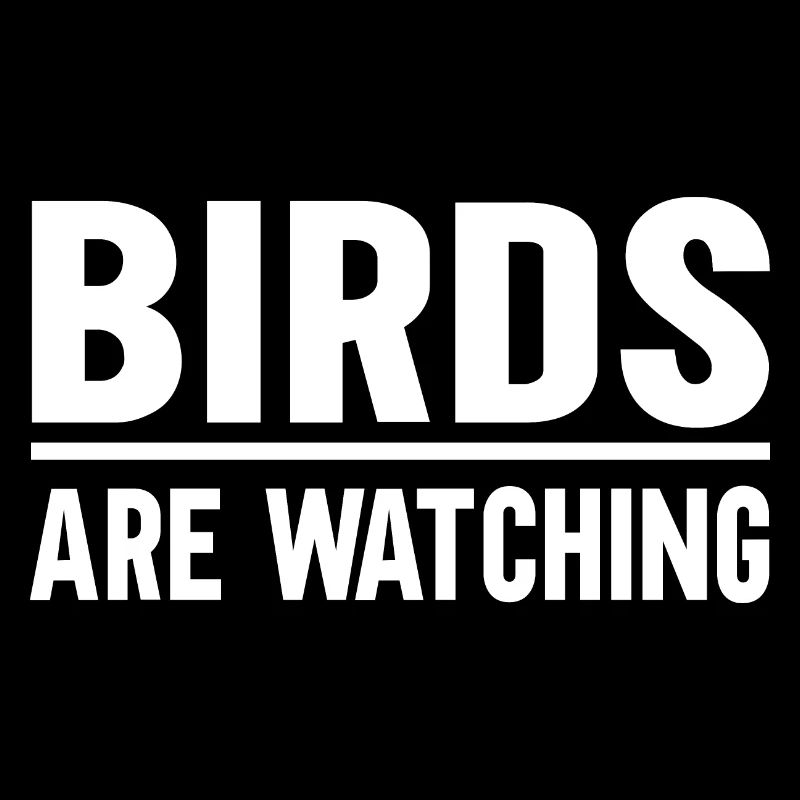 Les oiseaux observent