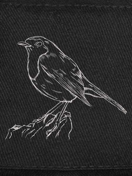 The Robin Songbird Conservation