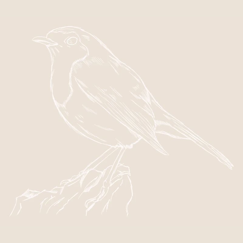 Das Rotkehlchen Singvogel Naturschutz