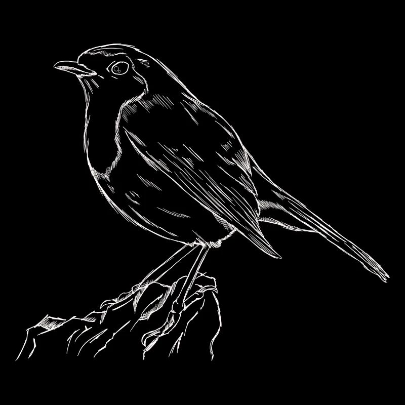 Das Rotkehlchen Singvogel Naturschutz