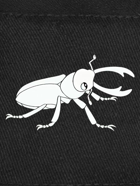 Insecte