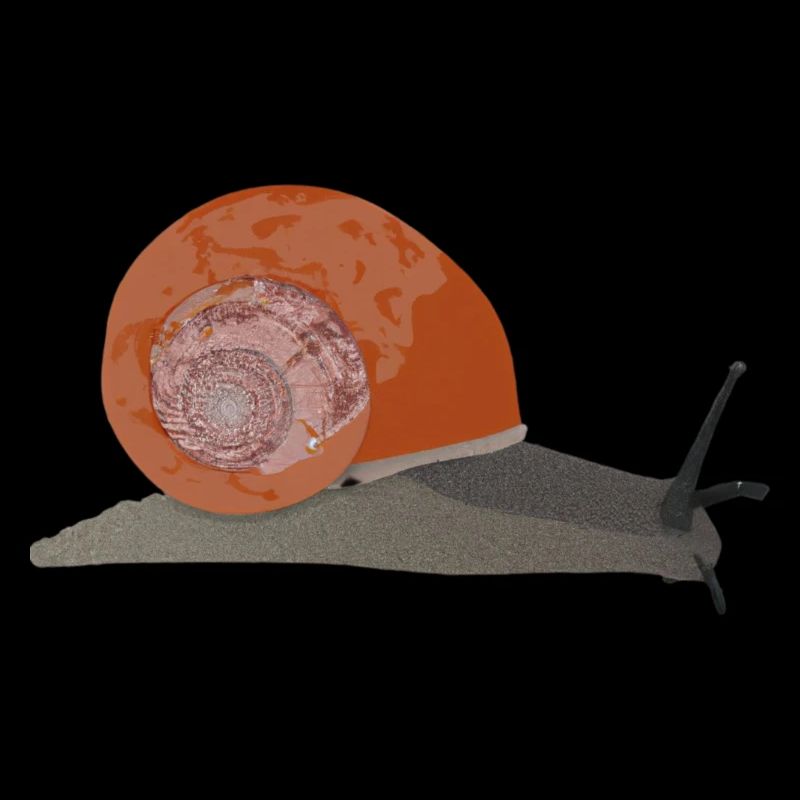 escargot Illustration