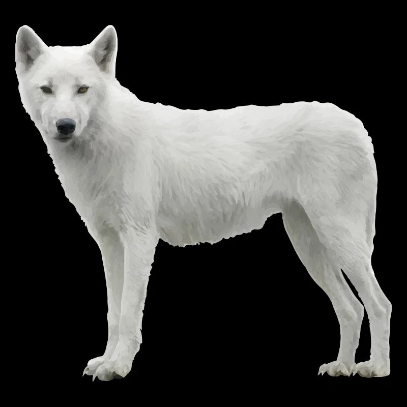 Loup