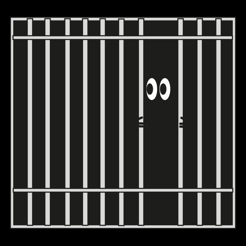 Bars, prison