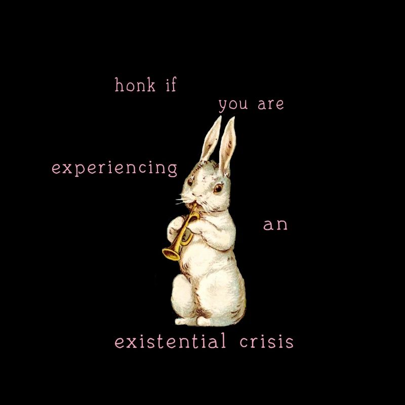 Honk if you're experiencing an existential crisis