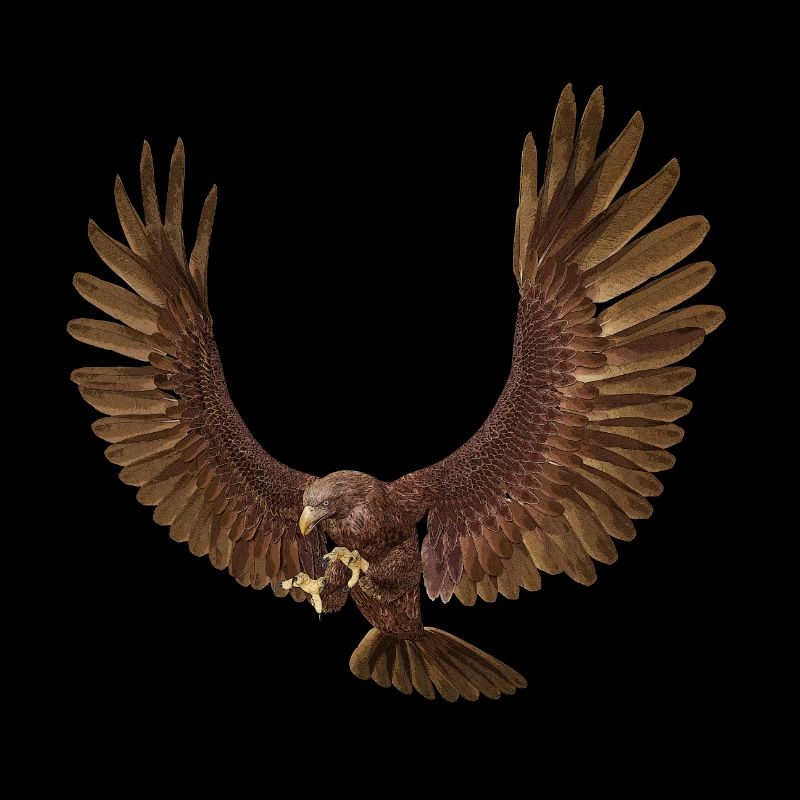 Steinadler, Adler, Greifvogel, Vogel