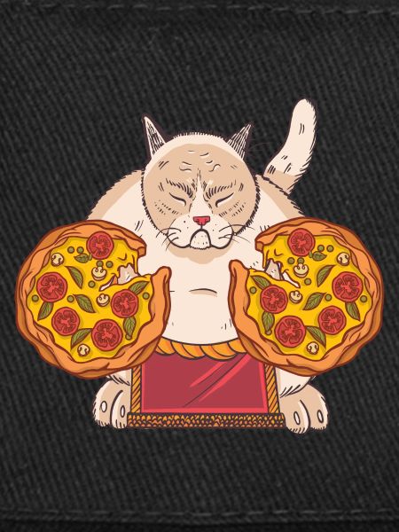 Sumo Pizza Chat