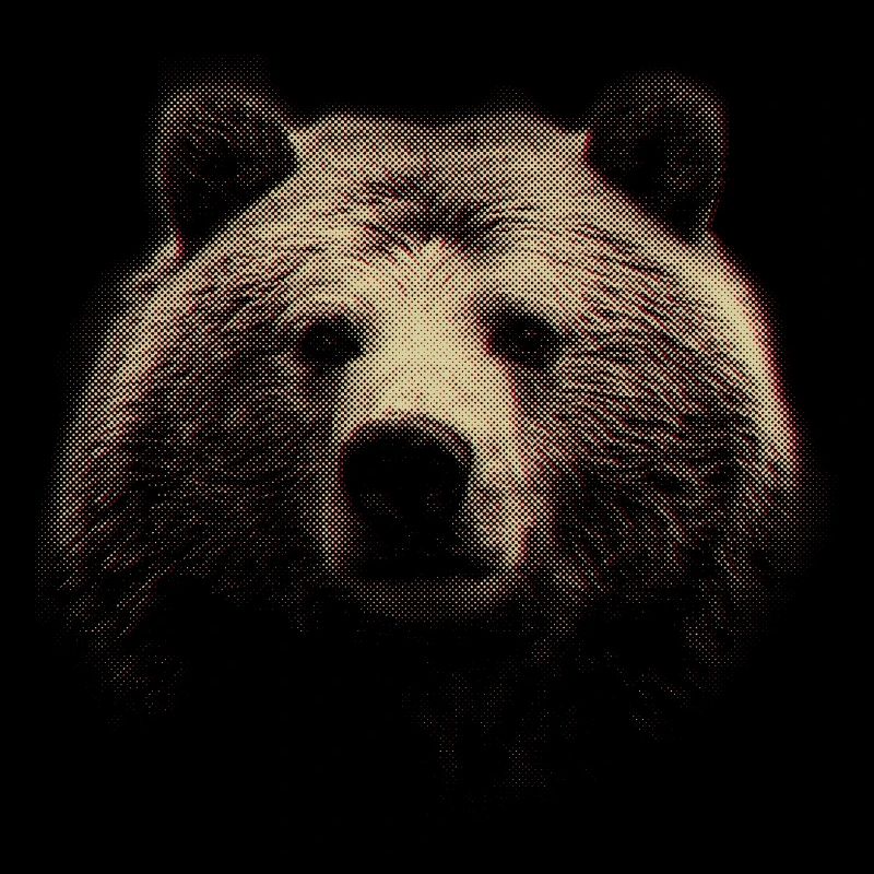 Tête d’ours rouge à demi-tons