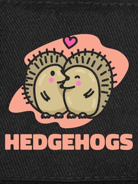 Cadeau de Saint-Valentin Hedgehog