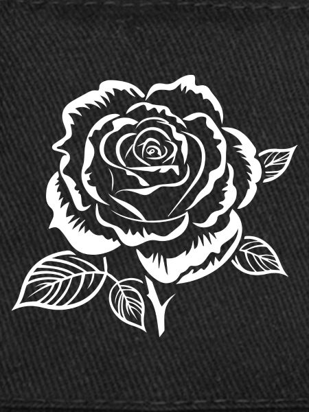 Rose blanche