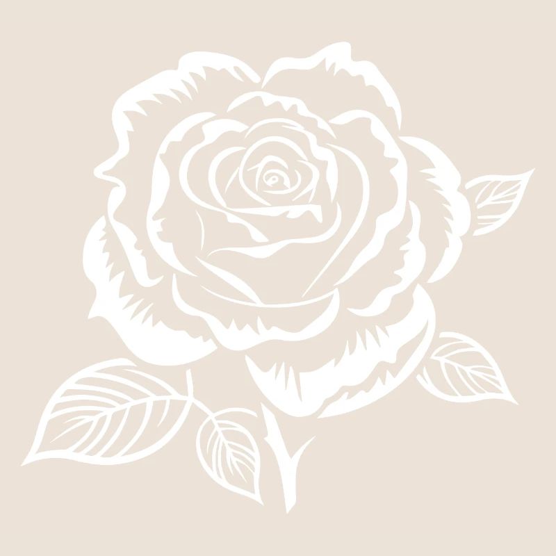 Rose blanche