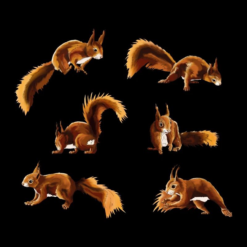 Eichhörnchen/Squirrel