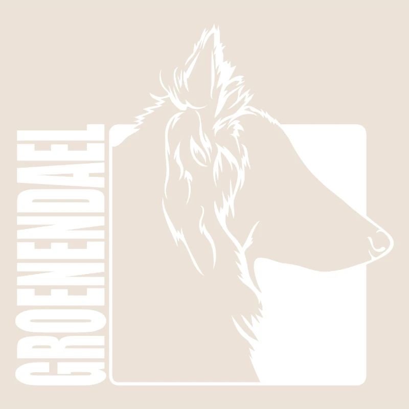 Groenendael Profil Chiens Chien Wilsigns
