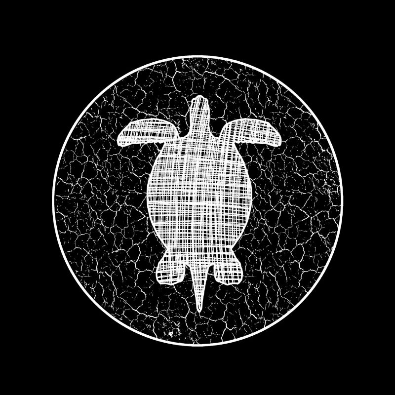 Turtle Schildkröte